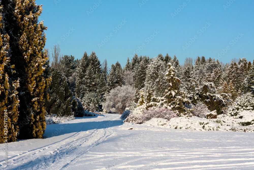 Winter background of snow and frost with free space for your decoration. Winter background of snow and frost with free space for your decoration.