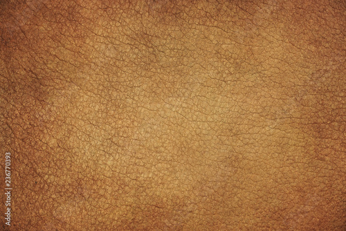 Orange animal skin background