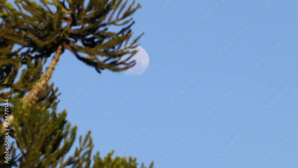 Lua e céu azul