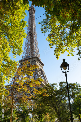 Eiffel tower behind trees and a lamp © ZEUS