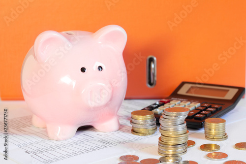 personal finances and savings concept