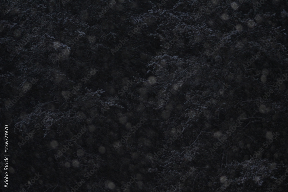 Fototapeta premium black abstract background