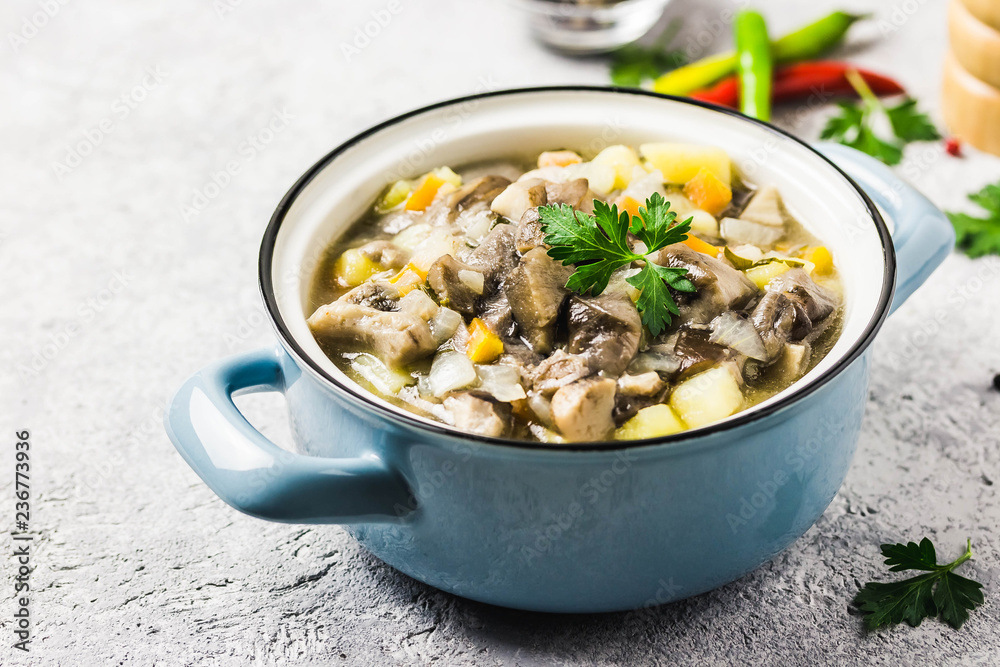 Healthy vegan wild mushroom soup in pots on grey concrete background. Selective focus, space for text. Healthy vegan wild mushroom soup in pots on grey concrete background. Selective focus, space for text.