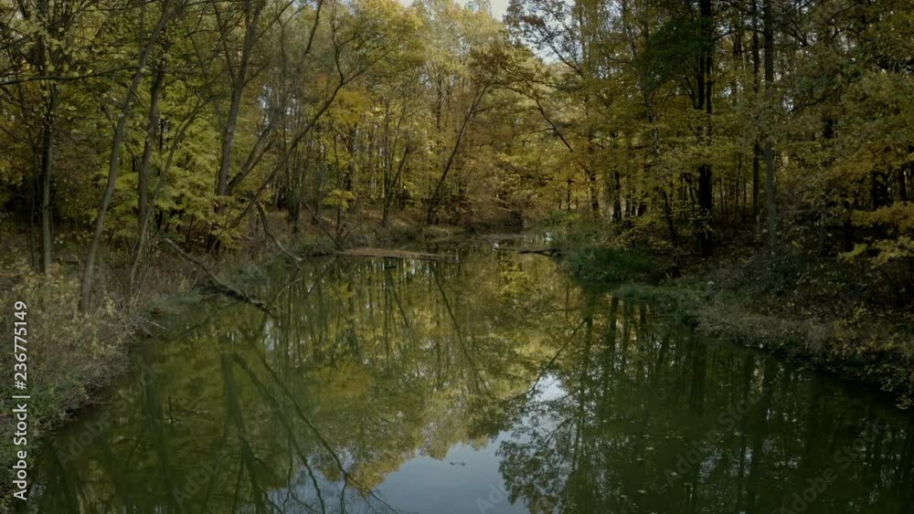 River in autumn yellow forest. Autumn landscape, Mala Panew River, near Turawa in Opole Voivodeship, Poland. Aerial view shot. Dolly in, no audio. River in autumn yellow forest. Autumn landscape, Mala Panew River, near Turawa in Opole Voivodeship, Poland. Aerial view shot. Dolly in, no audio.