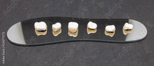Six white dental crowns closeup, dental dentures