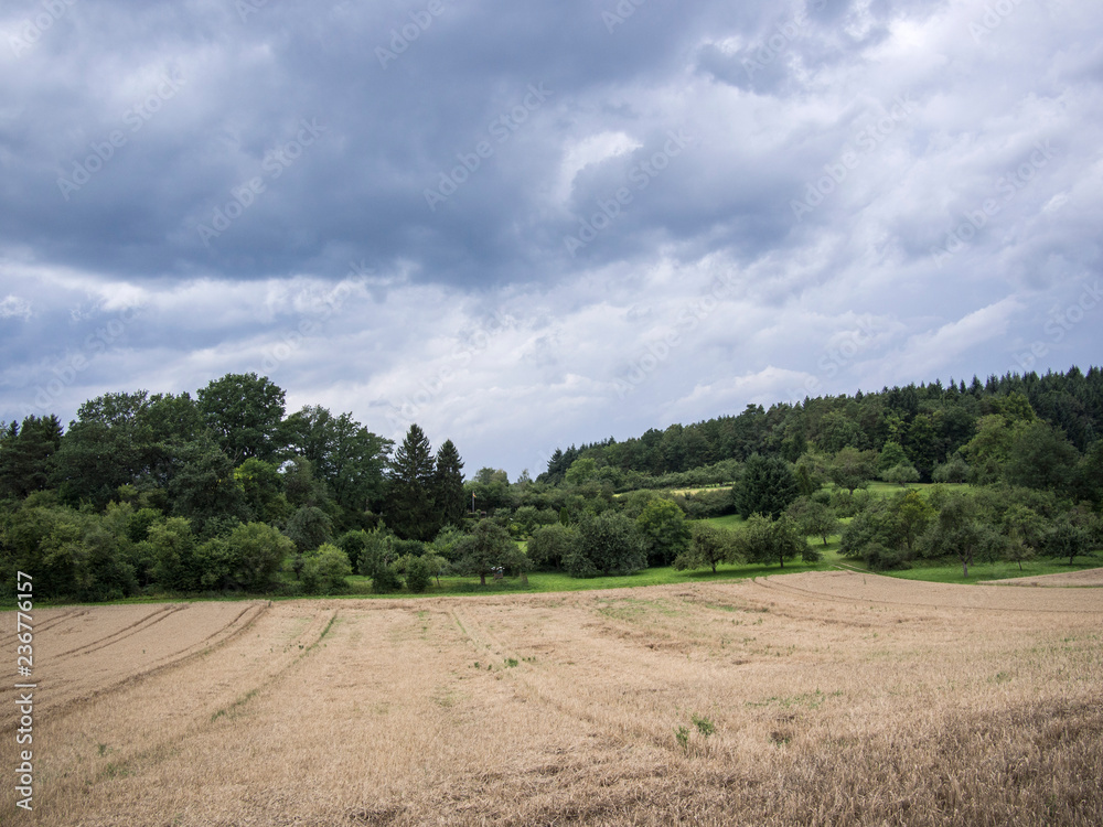 Corn field in autumn with cloudy sky in front of a wooded hill Corn field in autumn with cloudy sky in front of a wooded hill