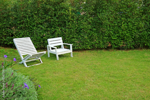 Two different type of white colored wooden chairs in vibrant green garden 