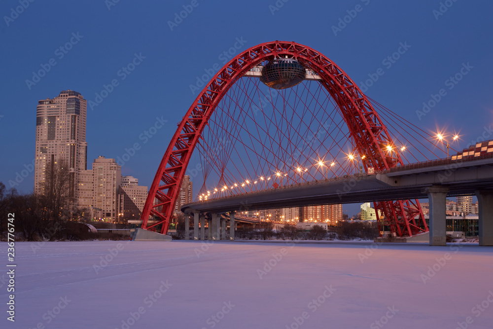 Naklejka premium Moscow, view of the