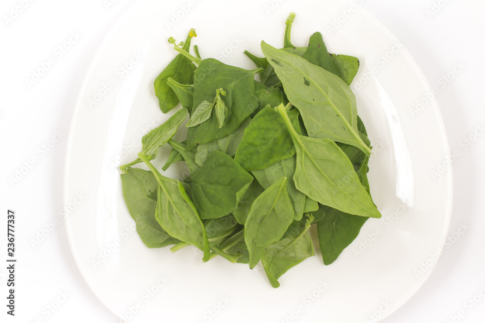Brazilian Spinach in a plate. Spinacia oleracea. Top view Brazilian Spinach in a plate. Spinacia oleracea. Top view