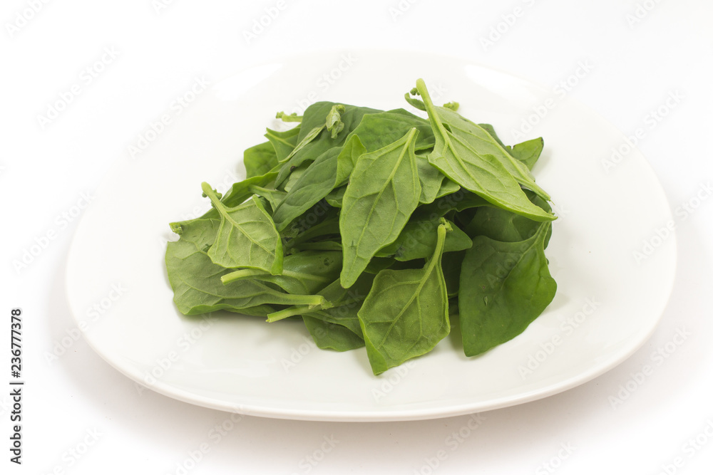 Brazilian Spinach in a plate. Spinacia oleracea Brazilian Spinach in a plate. Spinacia oleracea