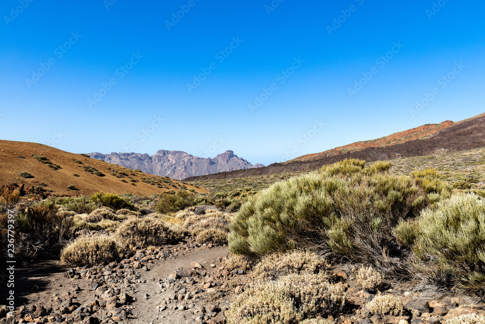 Nationalpark El Teide in Teneriffa,