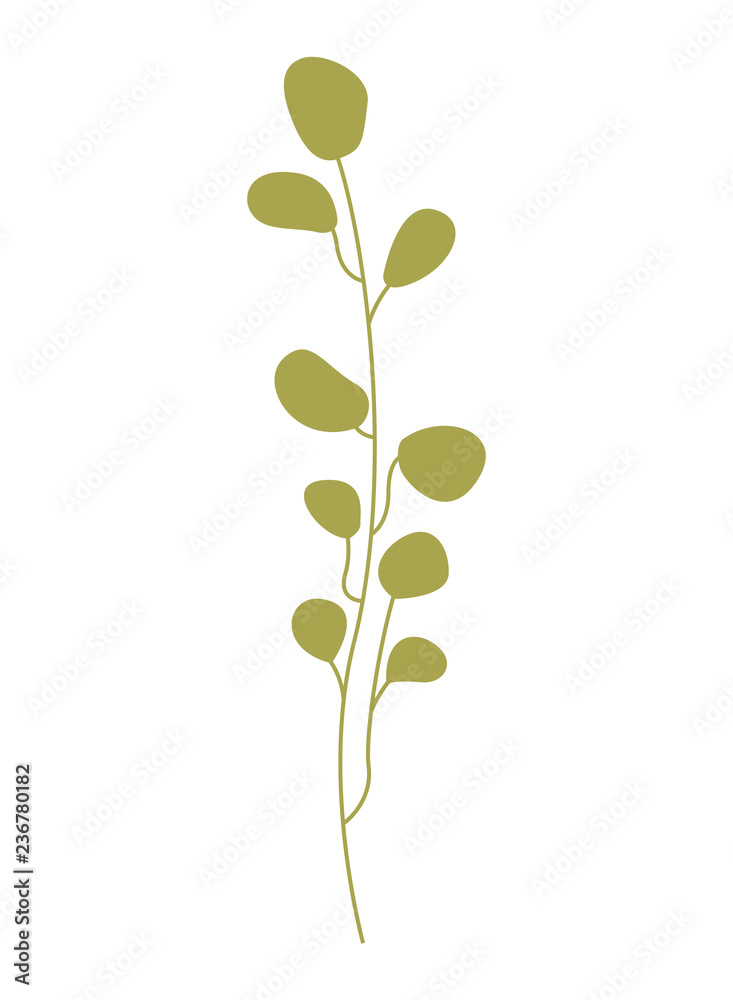 floral leaves foliage on white background