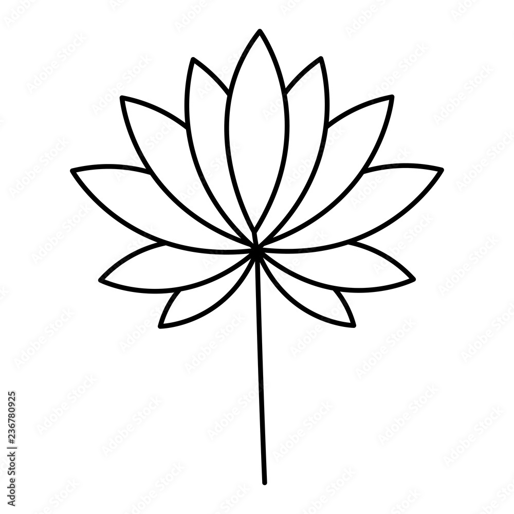 leaves tropical on white background leaves tropical on white background