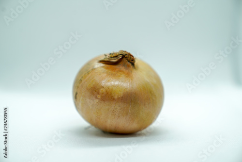 KELANTAN, MALAYSIA - NOVEMBER 29, 2018 : Bombay onian or onian is a kind of vegetable fungus.
