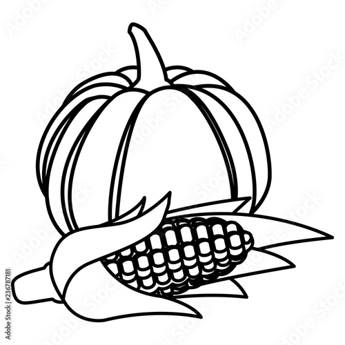 Pumpkin vegetable design