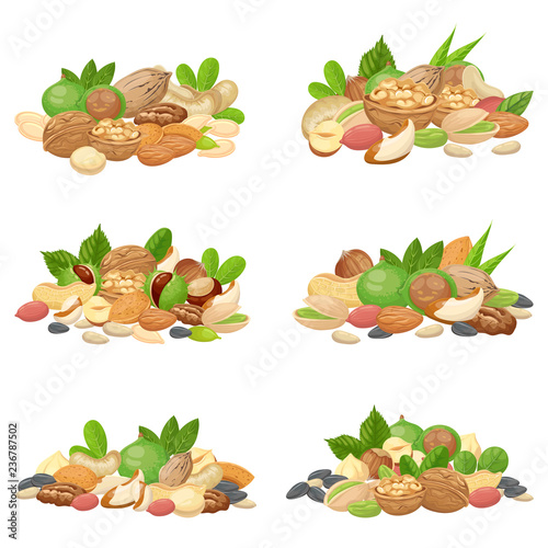 Nuts bunch. Fruit kernels, dried almond nut and cooking seeds isolated vector set