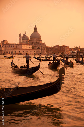Gondolas of Venice © scottimage