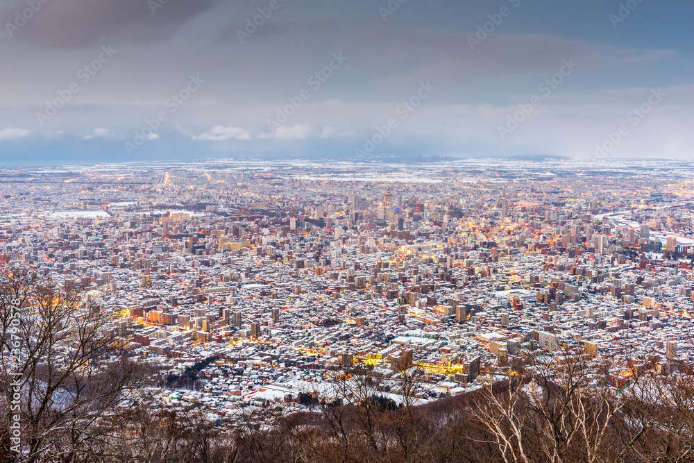 Sapporo, Japan winter skyline