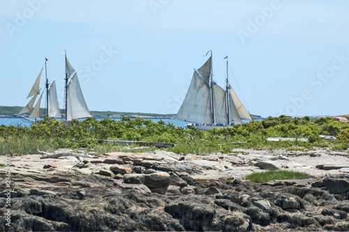 Two Windjammers photo