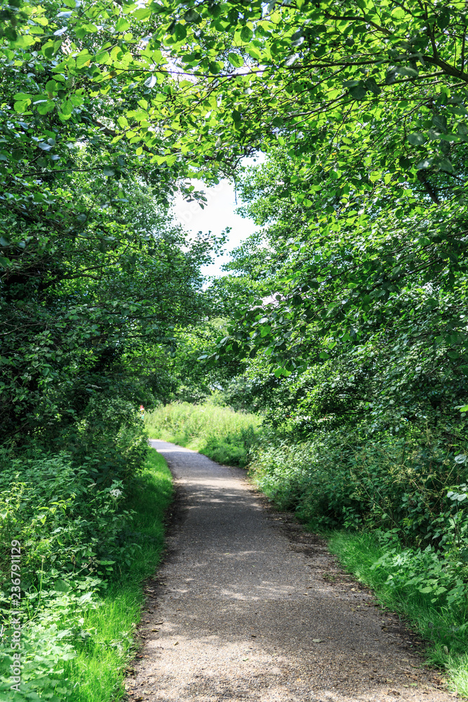 Rural walk surrounded by vegetation and prepared for hiking