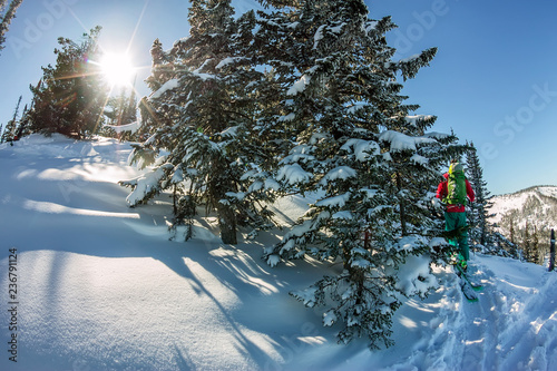 Male skier freeride skitur uphill in snow in winter forest photo