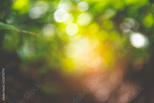 green leaves blur and bokeh vintage tone