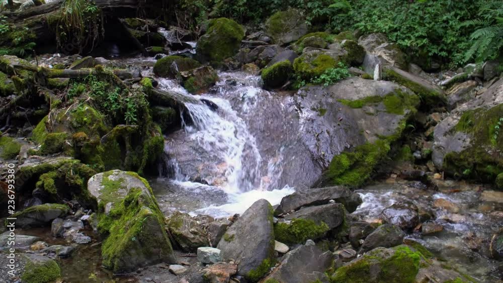 Mountain River with Cascades and Waterfall Flowing in the Himalayas. Forest Creek with Pure Transparent Water in Nepal Mountain River with Cascades and Waterfall Flowing in the Himalayas. Forest Creek with Pure Transparent Water in Nepal