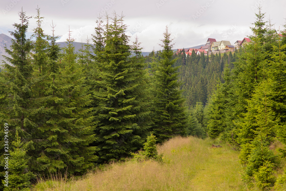 View of a mountain village from the forest View of a mountain village from the forest