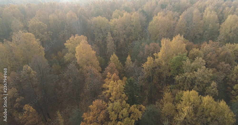 Aerial view over autumn forest in the morning Aerial view over autumn forest in the morning