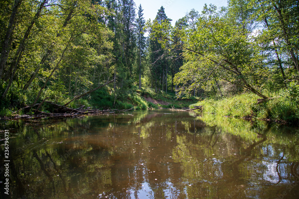 water stream in river of Amata in Latvia with sandstone cliffs, green foliage water stream in river of Amata in Latvia with sandstone cliffs, green foliage