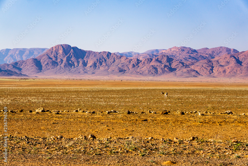 landscape namibia desert d707 landscape namibia desert d707
