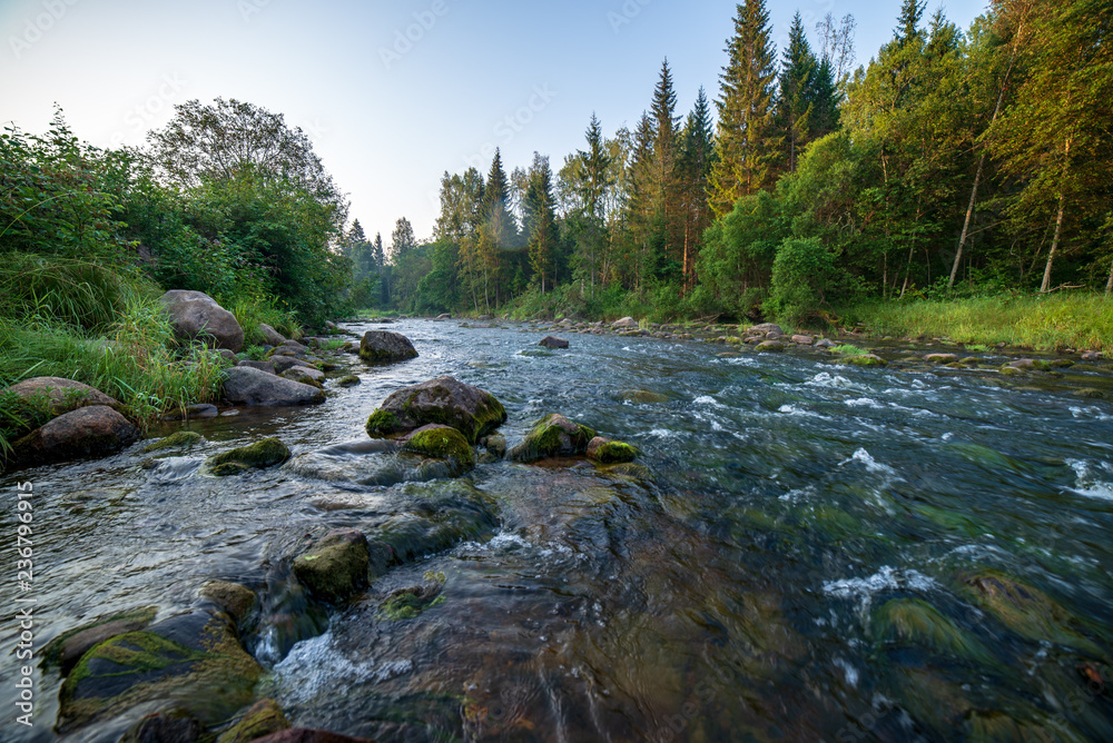 water stream in river of Amata in Latvia with sandstone cliffs, green foliage water stream in river of Amata in Latvia with sandstone cliffs, green foliage