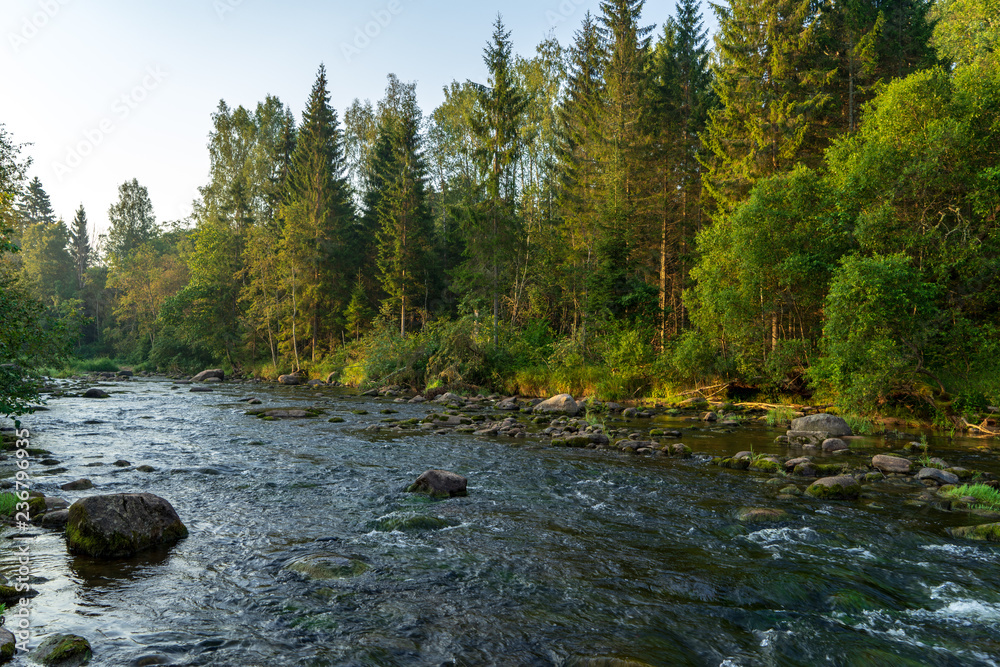 water stream in river of Amata in Latvia with sandstone cliffs, green foliage water stream in river of Amata in Latvia with sandstone cliffs, green foliage