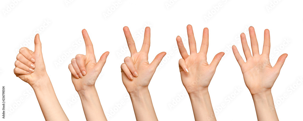 Female hands counting to five, isolated on white Female hands counting to five, isolated on white