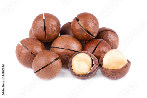 Macadamia nuts, isolated on white background. Shelled and unshelled macadamia.