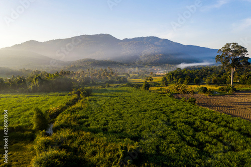 Aerial view of green field in the morning with fog and sunlight.......