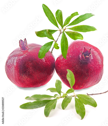 Pomegranate fruit and twig  isolated on white background photo