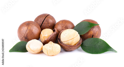 Macadamia nuts with leaves, isolated on white background. Shelled and unshelled macadamia.