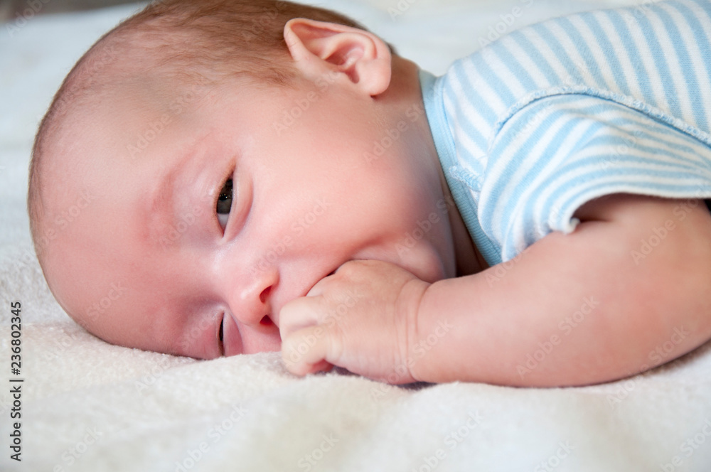 The baby cries and pulls the handle into his mouth because of the cutting teeth. Selective focus. The baby cries and pulls the handle into his mouth because of the cutting teeth. Selective focus.