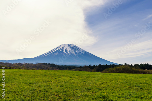 Mountain fuji in forest, Japan
