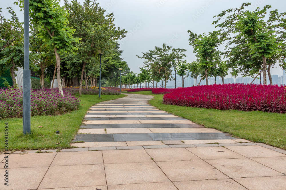 Stone walkway in the city park. Square with flowers. Red and yellow flowers on the lawn. Green bushes of trees. Stone walkway in the city park. Square with flowers. Red and yellow flowers on the lawn. Green bushes of trees.