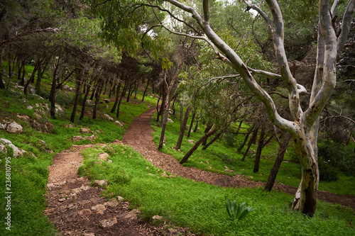 Regional Park of Porto Selvaggio in Salento - Particular - Italy