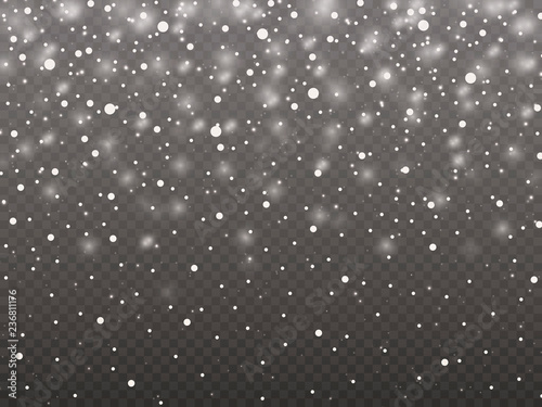 Winter background with snowflakes. Vector Illustration. Snowflake gray background invitation template