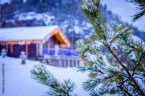 Winter. Snow. Snow-covered ...