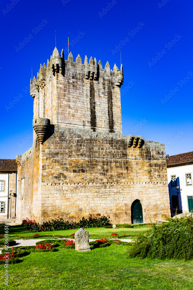 Fototapeta premium Forte