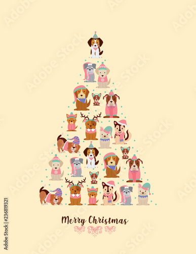 merry christmas card