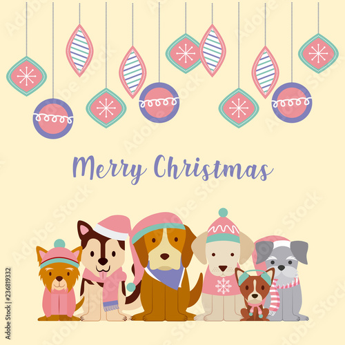 dog merry christmas card © Gstudio