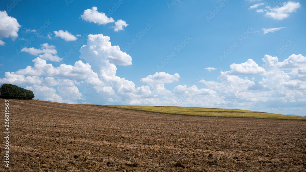 Toscana in Campagna