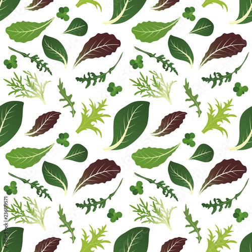 Mix of salad leaves. Arugula, spinach, lettuce leaf, watercress and radicchio. Seamless pattern. Vector illustration. photo