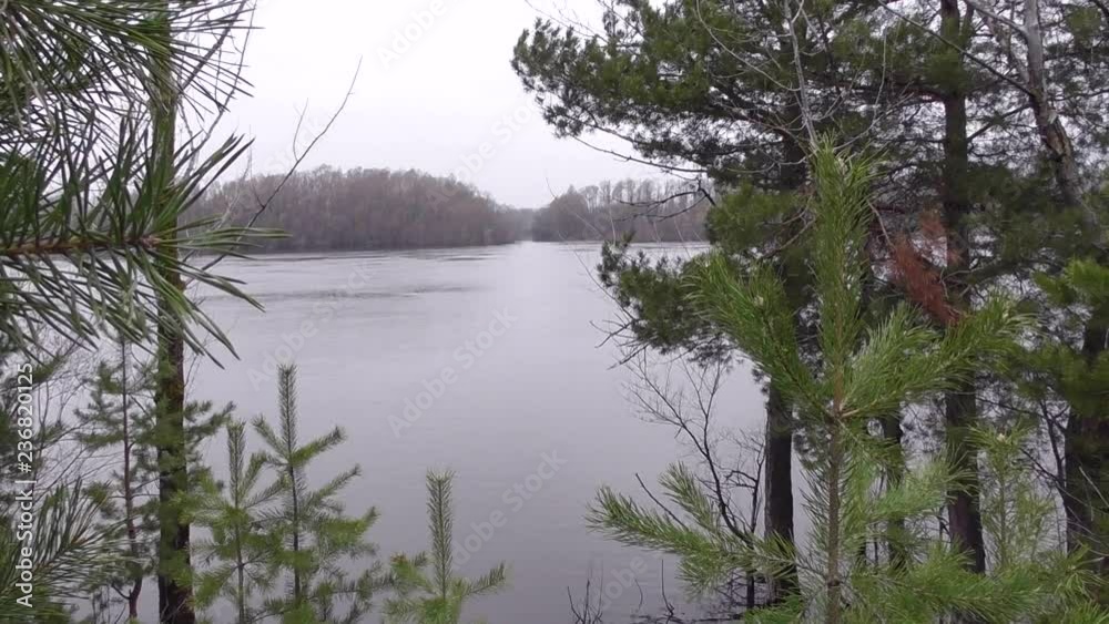 Morning lake landscape